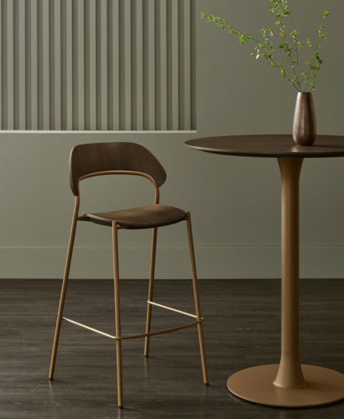 Elegant Wooden Bar Table Chair Set